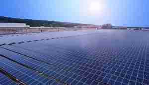 中美硅晶与NG大舞台光电携手战略合作