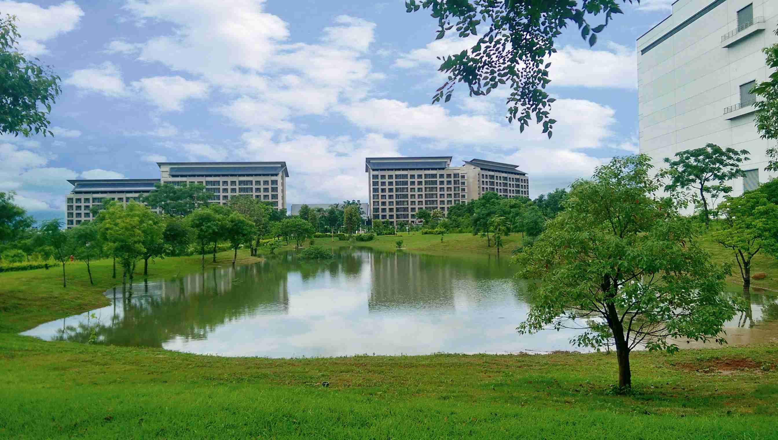 NG大舞台响应国际倡议生物多样性趋势，，首次发布TNFD自然相关财务揭露报告书，，擘划及开展NG大舞台生物多样性政策之承诺，，，，逐步迈向与自然和谐共生